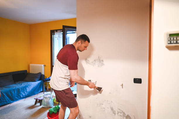 Best Mold Remediation  in Mcleansboro, IL